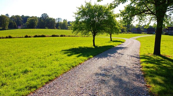 Les meilleures idées pour une allée en gravier à Cambrai